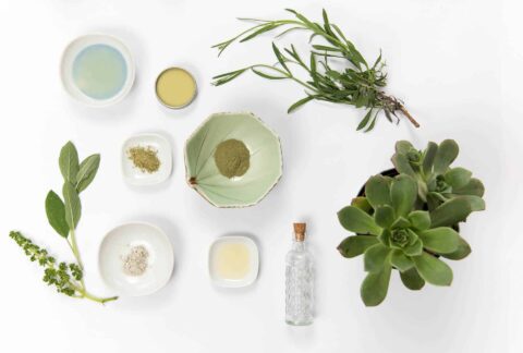 Holistic Treatments